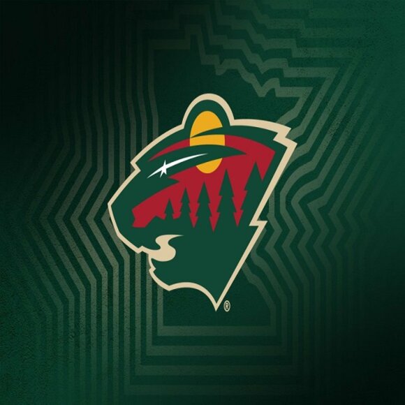 Minnesota Wild Hockey Card Collection - 20+ Cards From Various Seasons & Series - Picture 1 of 1